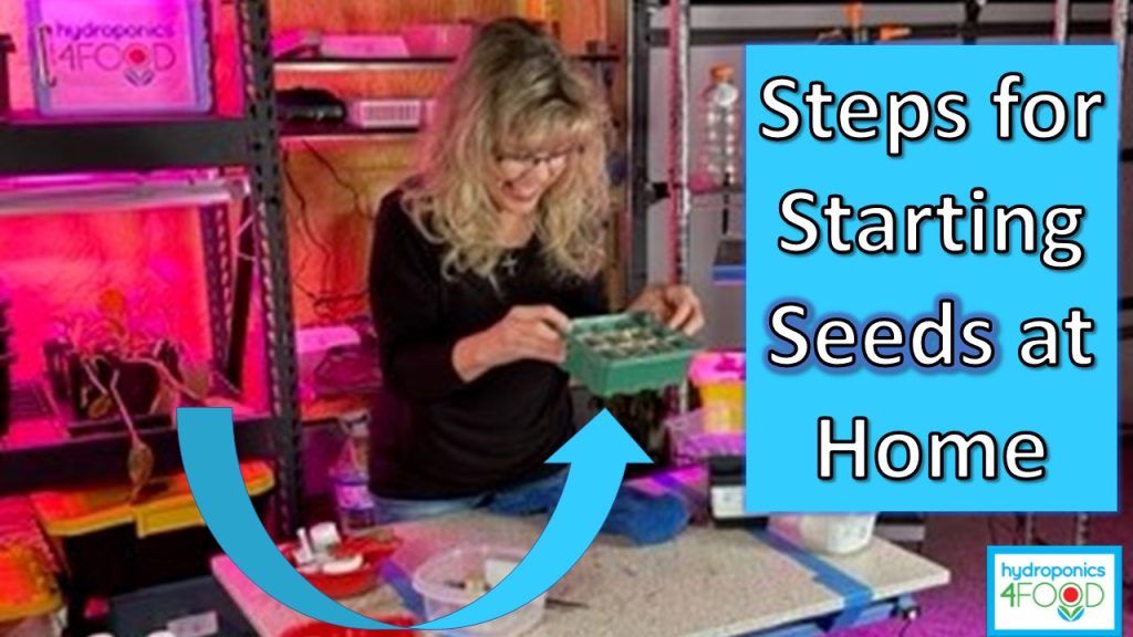 Steps for Starting Seeds at Home in Grow Trays